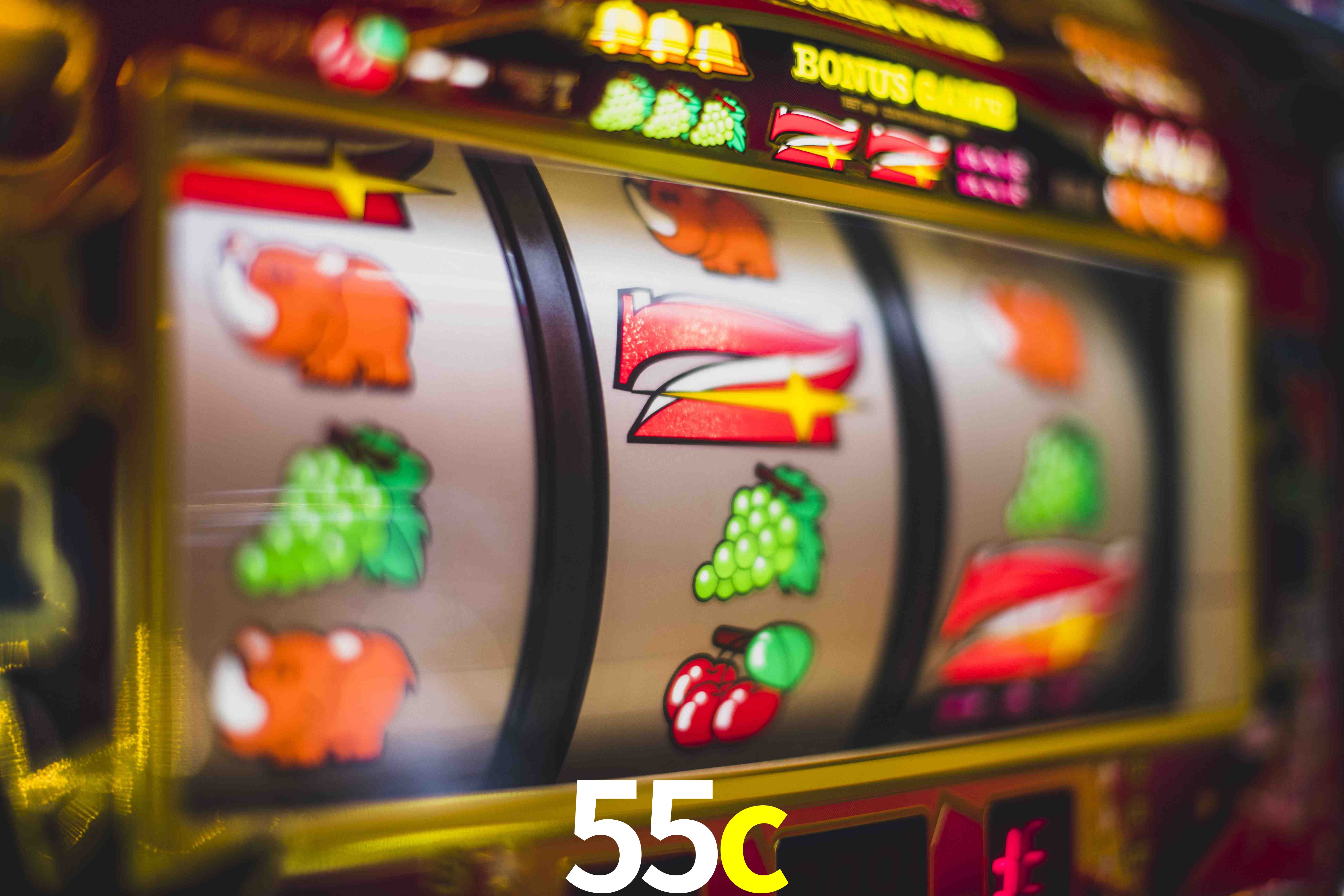 Experiência VIP 55c
